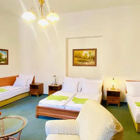 Cerny Kun Guest house Hradec Kralove