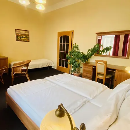 Guest house Cerny Kun 3*
