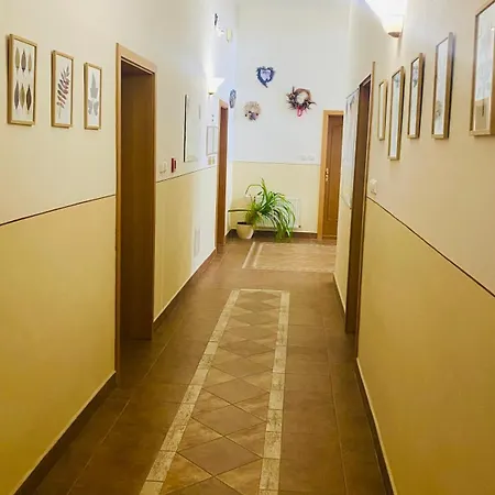 Cerny Kun 3* Hradec Králové