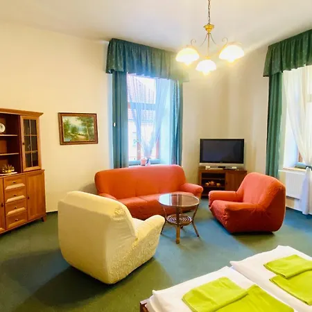 Cerny Kun Hradec Kralove