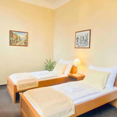 Cerny Kun 3* Hradec Kralove