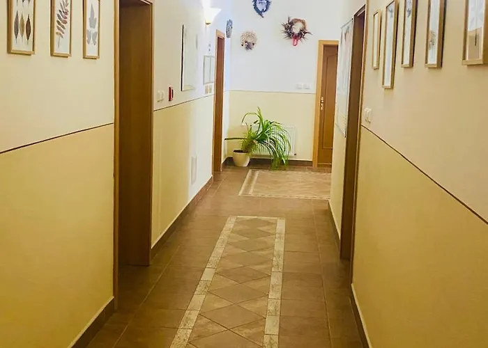 Cerny Kun 3* Hradec Králové